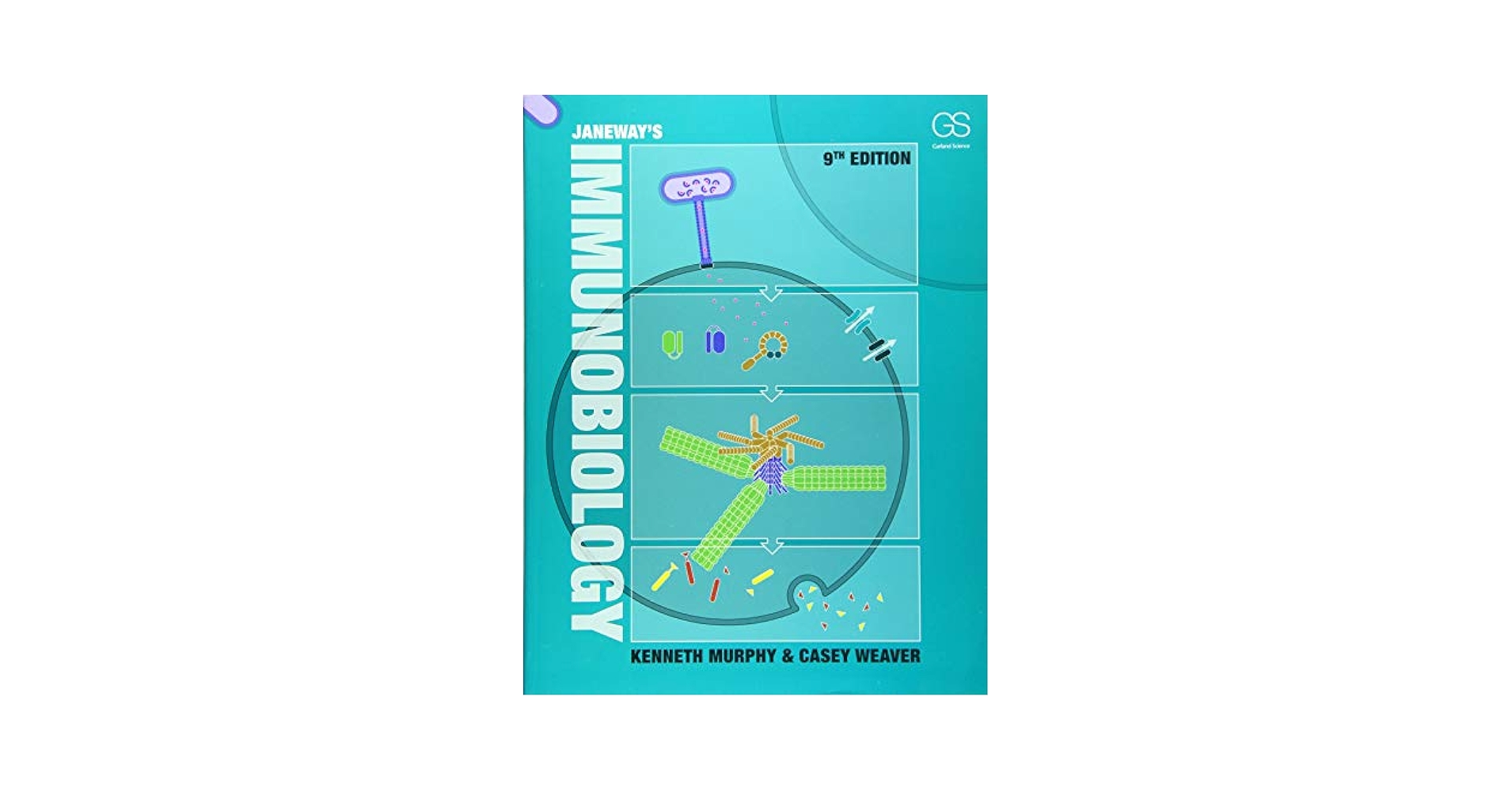 医学書　Janeway’s Immunobiology 9th edition Janeway's Immunobiology 9, Murphy, Kenneth, Weaver, Casey