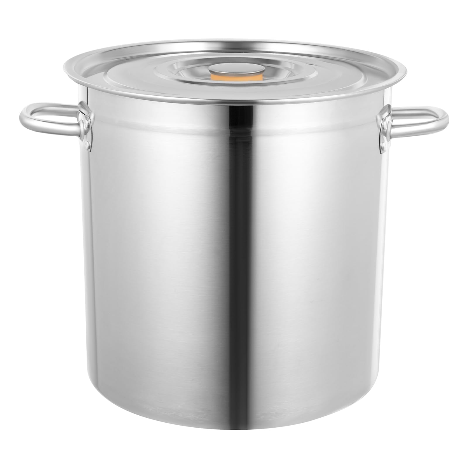 PROYONGOO 30 Quart Big Pots for Cooking Soup Pot with Lid Capacity Graduations Stock Pot 0.8mm Bottom Silver for Hotels Restaurants Kitchens Warehouses