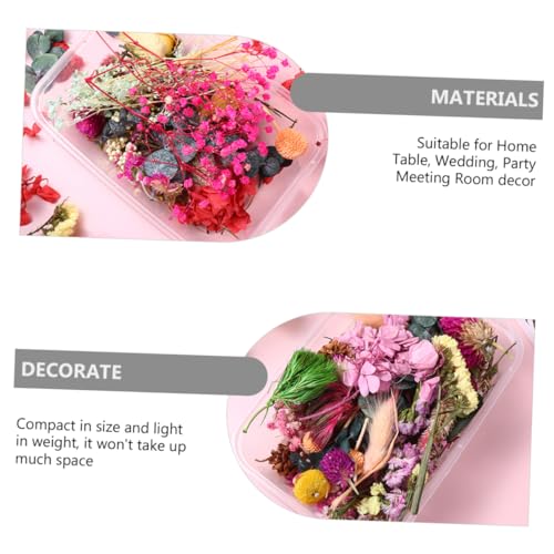 6 Cajas de Flores Secas Naturales para Manualidades miniatura 3