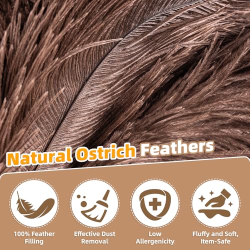 Image of Extendable Ostrich Feather Duster for Cleaning with 49 inch Rotatable Pole