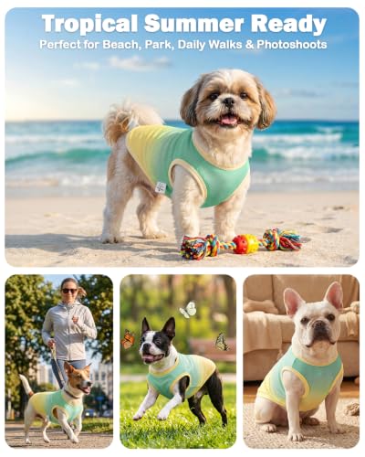 Image of CuteBone Ombre Dog Tank Top for Small Dogs, Cats - Tropical Summer Pet Vest - Breathable Ice Silk Cooling Shirt - Sun Protection, Photo, Casual Play, Walks
