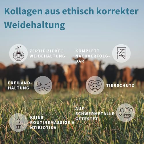 Collagen Hydrolysat Peptide aus zertifizierter Weidehaltung - Premium Rinder Kollagen Protein Pulver, Optimale Löslichkeit, 400g, von Igennus