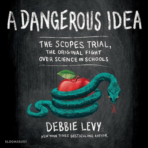 Enjoy A Dangerous Idea from Debbie Levy episode artwork