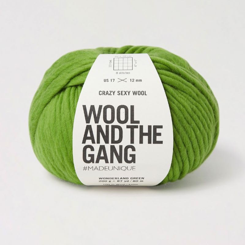 Amazon.com: Knitting Wool and the Gang Crazy Sexy Wool - Chunky 