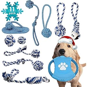 11 Stück Hundespielzeug Set,Robustes Welpenspielzeug blau Aus Reine Baumwolle,Hund Interaktives Spielzeug für kleine und mittelgroße Hunde,Robustes Zerrspielzeug Und Wurfspielzeug
