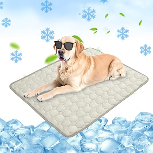 Chumix Kühlmatte für Hunde XL (100x70cm) – Hundekühlmatte Selbstkühlend Kühldecke für Hunde & Katzen | Eisseide Kühlmatte Hund Ohne Gel, Atmungsaktiv & Bissfest | Ideal für Zuhause, Auto, Reisen Chumix Kühlmatte für Hunde XL (100x70cm) – Hundekühlmatte Selbstkühlend Kühldecke für Hunde & Katzen | Eisseide Kühlmatte Hund Ohne Gel, Atmungsaktiv & Bissfest | Ideal für Zuhause, Auto, Reisen