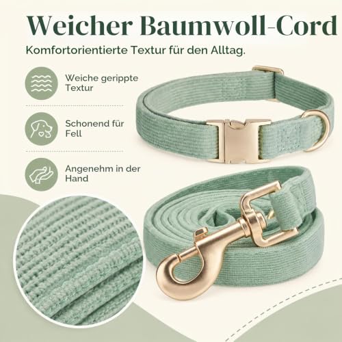 YUDOTE Hundehalsband und Leine Set Klein, Weiche Reizfreie Cord-Halsband-Leine Passende Combo für Den Täglichen Spaziergang, Salbeigrün