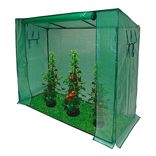 Foto von DEMA Gewächshaus Foliengewächshaus XXL 200x80x170 cm Tomatenhaus für Tomaten, Gemüse & Kräuter im Garten