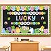 87Pcs St. Patrick's Day Bulletin Board Decorations Set Lucky Charm Unicorn Gold Coin Paper Cutouts Funny Shamrock March Classroom Decor for Chalkboard Window Wall Door Irish Party Home Office School