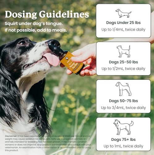 Image of Lolahemp Mobility & Hip & Joint Hemp Oil for Dogs - Organic Hemp & Turmeric - Mobility, Comfort & Longevity