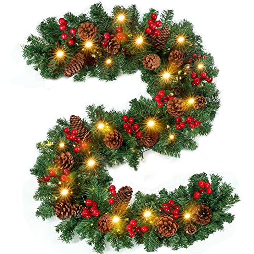 Best Outdoor Lighted Garland Expert Review The Modern Record