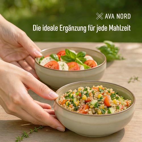 Ava Nord Müslischalen aus Keramik, Set mit 4 - 600 ml Steingut-Schalen für Suppe, Salat, Dessert oder Eis, stapelbar, spülmaschinen- und mikrowellengeeignet, kleine rustikale Schalen für Küche