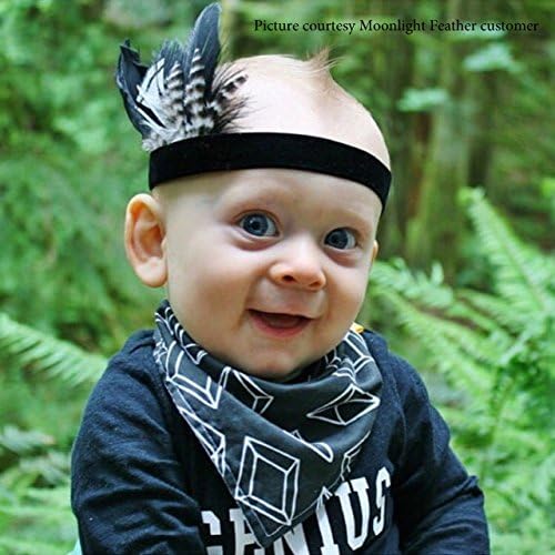 Miniatura 8 de Green Lady Amherst - Plumas artesanales de faisán, 1 docena