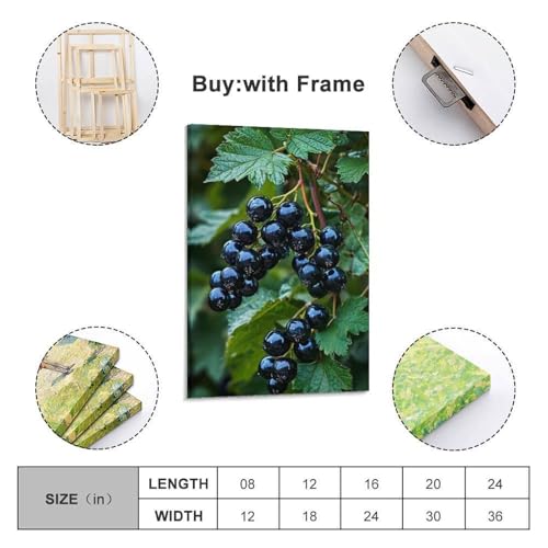 Poster fruits cassis sur branche pour égayer un mur blanc sans cadre
