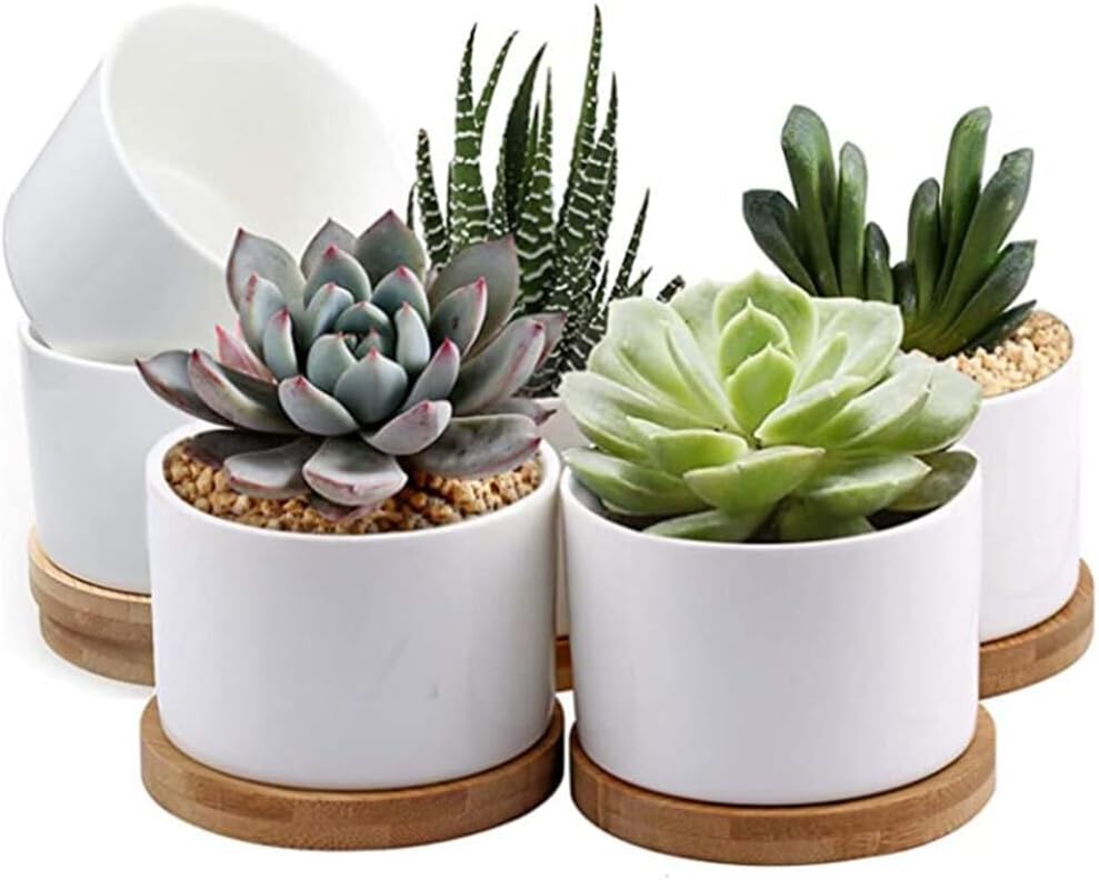 Ceramic Planter Pot,3X Durable Succulent Plant Pot Designed for Small Spaces Materials Ceramics Planter Pot Flower Pot Bonsai Pot Flowerpot