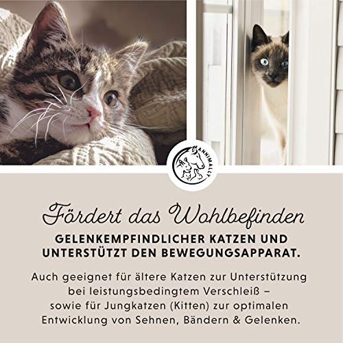 Annimally Gelenk Pulver für Katzen I 120g für 4 Monate - Die Alternative zu Gelenktabletten - Gelenkfit Pulver mit Grünlippmuschel, MSM, Teufelskralle, Taurin, Glucosamin und Kurkuma