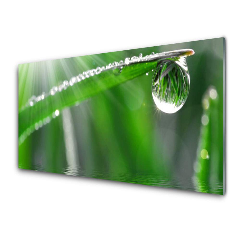 Tableau décoration déco mural moderne herbe de rosée pour salon lumineux 100x50
