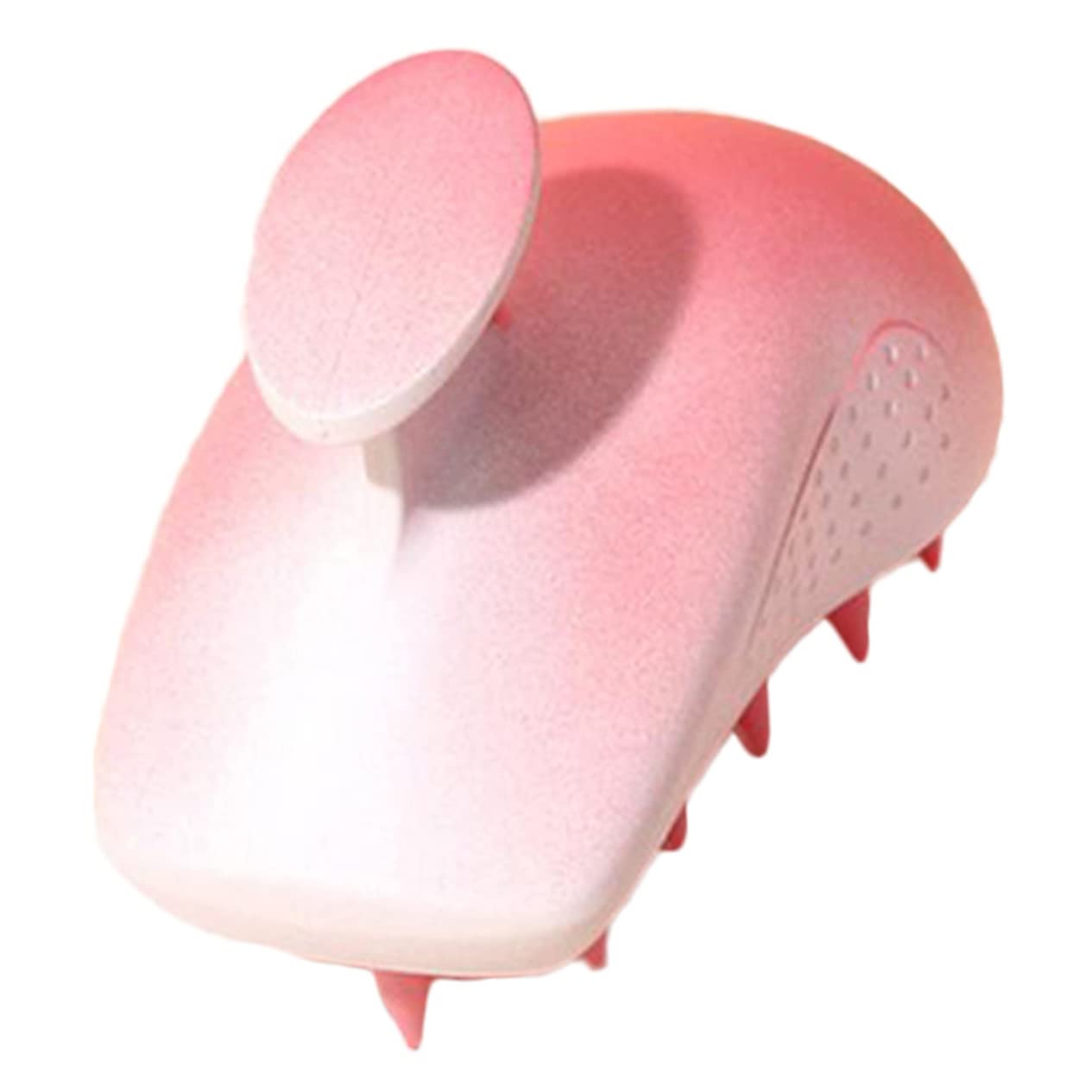 PACKOVE 5stücke Scalp Massaging Scrubber Kopfhaut Massagebürste Für Effektives Peeling Und Entspannung Geeignet Für Und Trockenes Haar