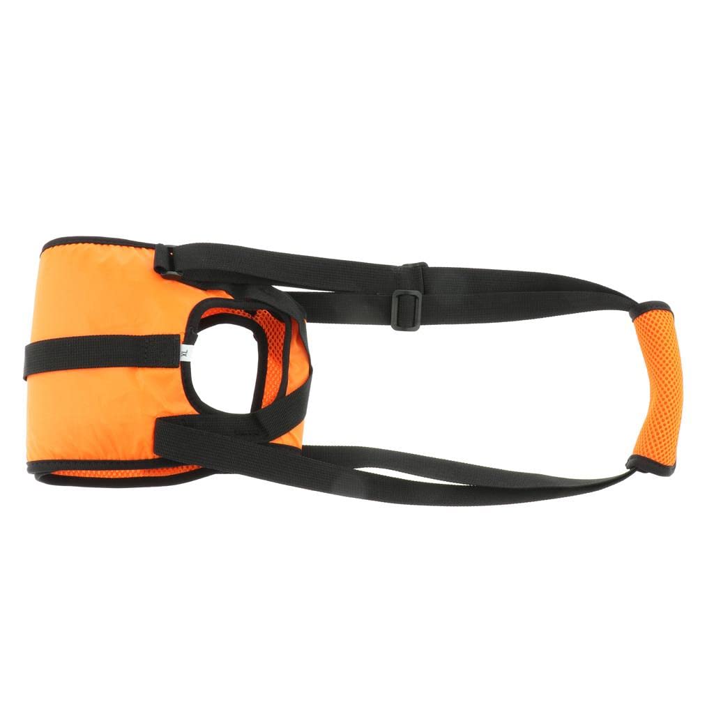 LYLA Dog Walking Lifting Carry Support Harness for Injured Disabled Dog XL | Dog Supplies | Harnesses (B09Y8XTQ22) Amazon Price History, Amazon Price Tracker