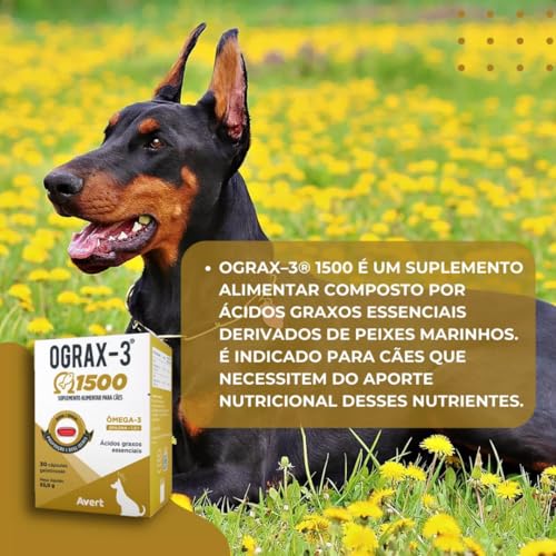 Ograx 3 1500 Ômega-3 Para Cães 30 Cápsulas Suplemento Avert