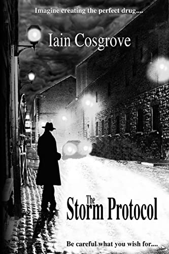 The Storm Protocol view 2