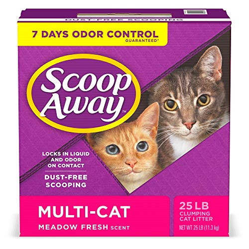 Arena para gatos Scoop Away los 15 mejores productos comparados Wild