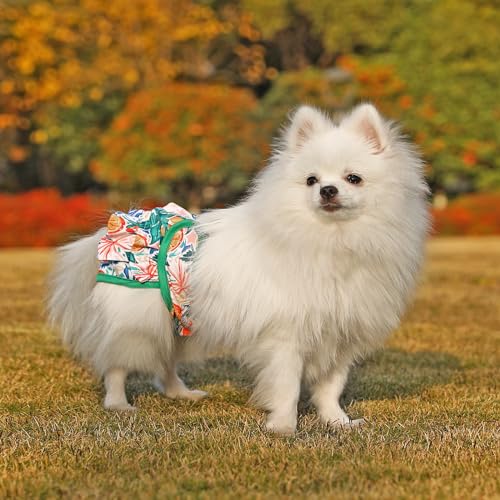 Image of Dog Diapers Washable (3 Pack), Reusable Female Dog Diapers Highly Absorbent for Heat, Incontinence, XS