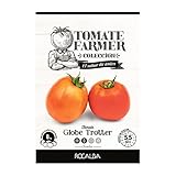 Semillas hortícolas colección Tomate Farmer Rocalba - Tomate Globe Trotter