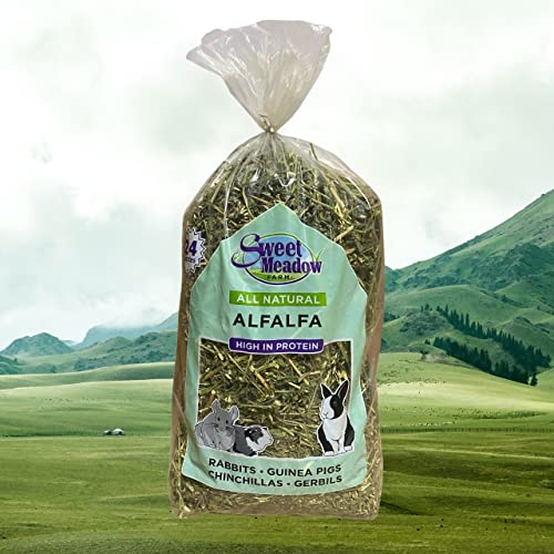 Sweet Meadow Farm Alfalfa Hay 24 oz