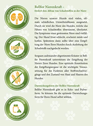 Bellfor Nierenkraft Pulver für Hunde 80g – Natürliches Ergänzungsfuttermittel zur Unterstützung der Nierenfunktion mit Ackerschachtelhalm