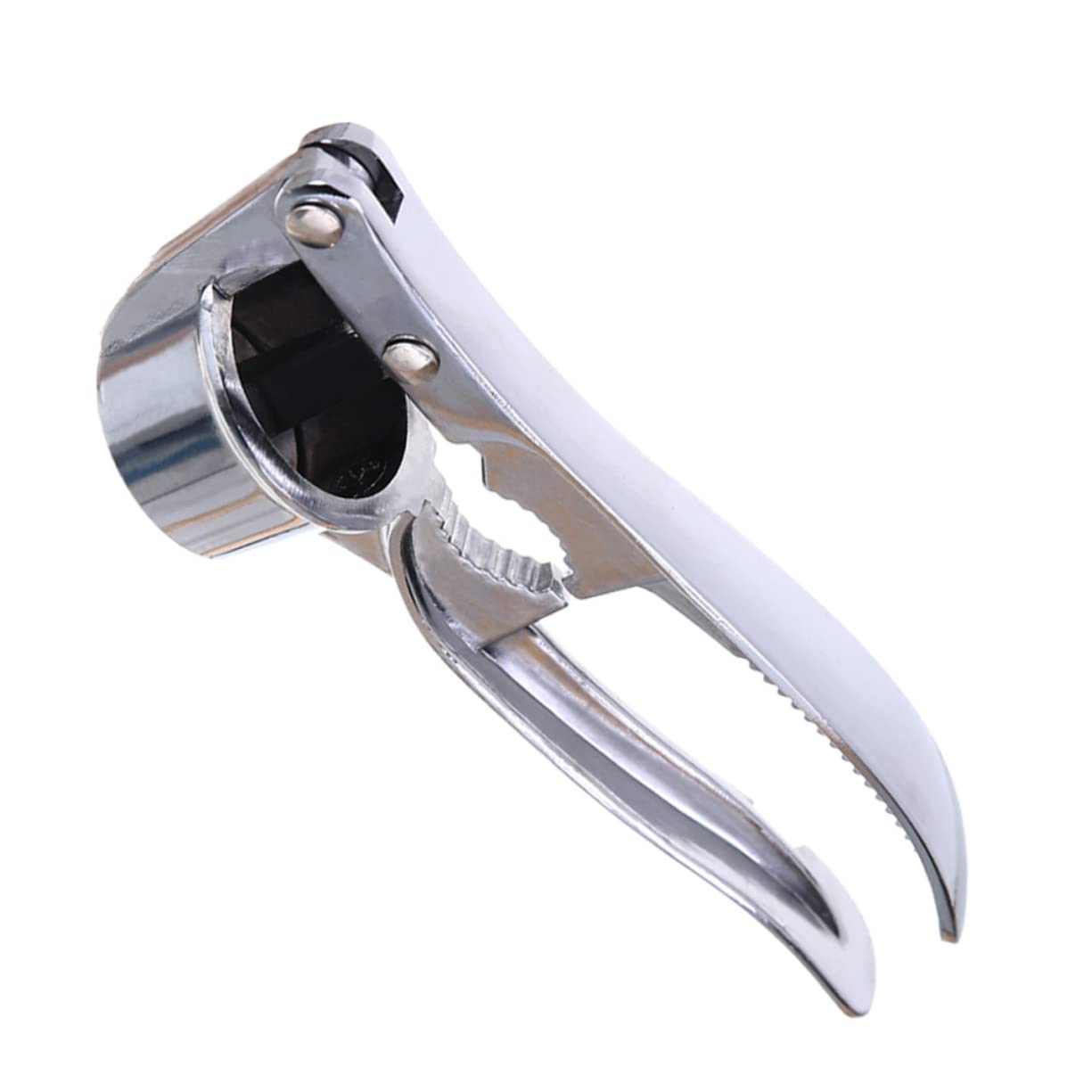 DECHOUS Garlic Press Manual Garlic Masher Garlic Crusher Garlic Chopper Stainless Steel Uniform Hole Position for Crushing
