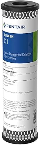 Pentek C1, cartucho de filtro de bloque de carbón, 9-34 x 2-12 pulgadas, 5 micrones, 1