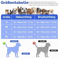 Funfox Hundegeschirr Kleine Hunde [S] - Anti Zug Welpengeschirr mit Griff & Ringreflektoren, Atmungsaktives Verstellbares No Pull Brustgeschirr für Kleine/Mittelgroße Hunde Outdoor Blau – Ansicht 2