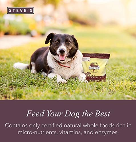 Steve\'s Real Food Raw Freeze Dried Dog Food Assorted Flavors- 3 Packs of 1.25 lb Bags of High Protein Dog Food in Chicken, Beef, and Turkenduck Flavors - 100% Natural USDA Human Grade Ingredients - Thumbnail 3