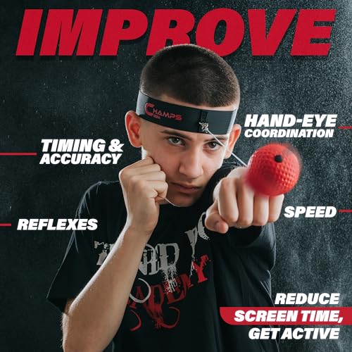 Champs MMA Boxing Reflex Ball Set Review