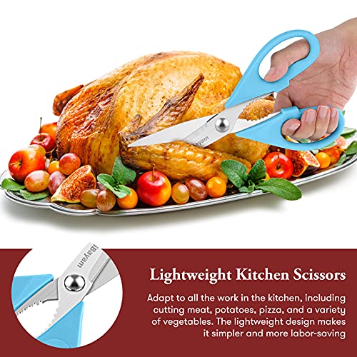 Gifts for Dad from Daughter Son, BEST DAD Tool Shears, iBayam Kitchen Scissors All Purpose Heavy Duty Meat Scissors Poultry Shears, Dishwasher Safe Stainless Steel Utility Scissor