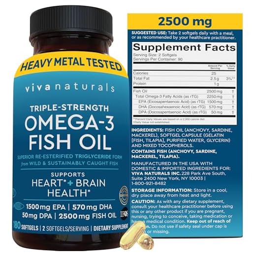 High-Potency Omega 3 Fish Oil Supplement
