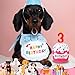 Dansydaisy Dog Birthday Cake Toy Accessories for Girl Boy Gifts, Squeaky Plush Toy for Dog Birthday Party Decor Favor for Large, Medium and Small Dogs(3rd,Pink)