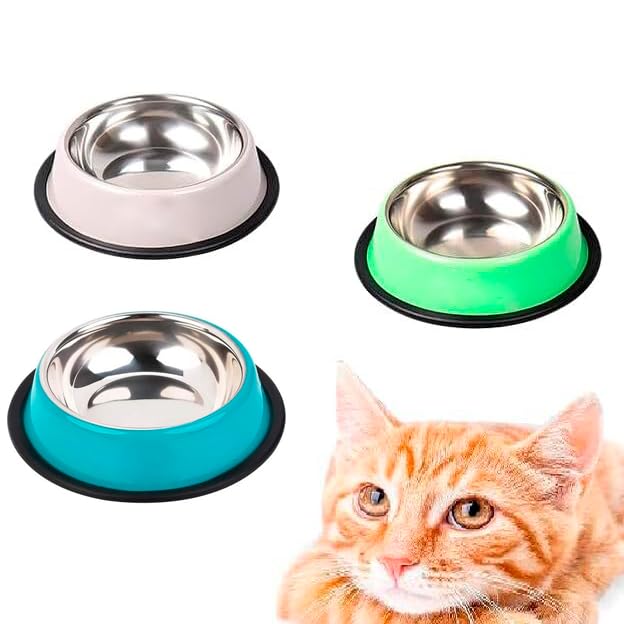 EDIPETS, Comedero Gato, Pack 3 Uds, Cuenco Gato, Apto para Comida y Agua, de Acero Inoxidable, Cuenco Antiderrame (Verde)
