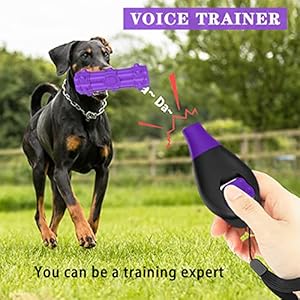 2-in-1 Dog Whistle Dog Training Clicker for Dogs Cats Birds Puppy Training (Black Purple)