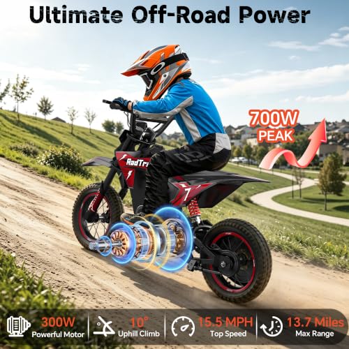 ACECRUISERS 36V Electric Dirt Bike