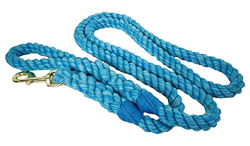 Ravenox Cotton Rope Leash Lead | 1/2-Inch X 6 Foot For Medium Or Large Dogs & Pets (Turquoise)| Handmade In The Usa With 100% American Made Rope | Custom Colors, Heavy Duty Hardware #TOP2