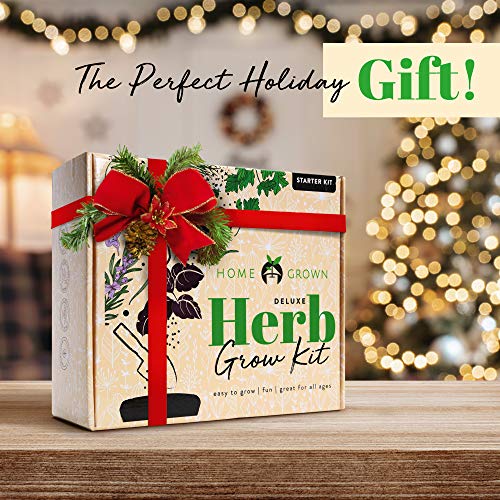 4 Herb Garden Starter Kit Indoor: Complete Grow Kit W/Deluxe Ceramic Pots & Soil - Diy Herb Seeds To Plant, Window Garden Home Growing Kit - Best Plant Gifts For Women, Unique Gifts For Cooks #TOP1