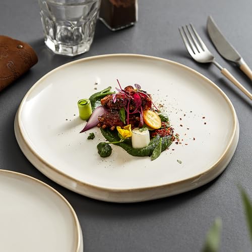 [ロトンシハイ] 皿 魚皿 B 家庭用 陶磁器 デザイン01 レストラン 居酒屋 ホテル ロブスター 刺身 海鮮 プレート 大きい ラウンドデザイン 深め おしゃれ 可愛い 無地 食器 電子レンジ 耐久性 円形 結婚式 モダン シンプル かっこいい デザートプレート 小きい食器のサムネイル