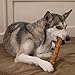 Fieldcrest Farms Nothin’ to Hide Large Roll Dog Chews, Natural Rawhide Alternative Treats for Dogs, Collagen-Based Snack for Moderate Chewers Over 50lbs, Granola Flavor, 2 Pieces