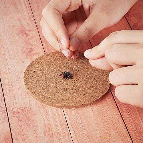 Image of WILLBOND 500 Pieces Stainless Steel Insect Pins Kit Specimen,2 Sizes | Entomology Pins for Butterfly Collections Insect Display Variety Pack for School Specimen Preparation Pin Collector