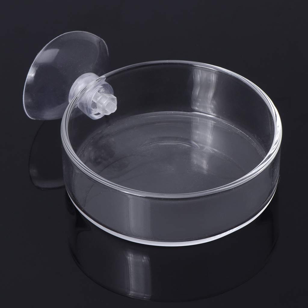 Mangiatoia per gamberetti in vetro rotonda 6,1 x 1,8 cm con ventosa per acquario
