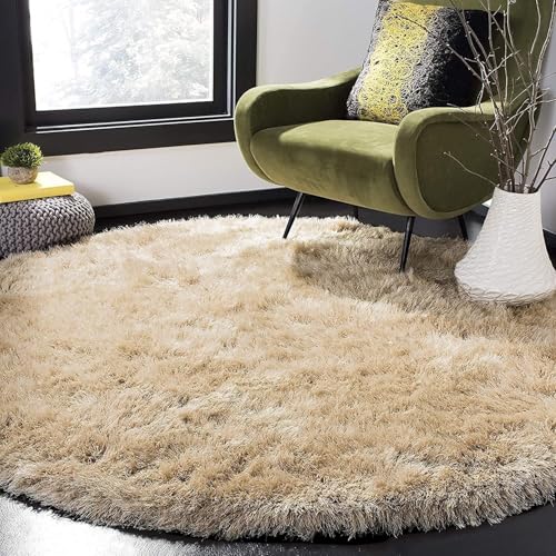 Image of Plush Shag Area Rug for Living Room, 244 cm x 305 cm, Brown (Beige, 4X4 FEET)