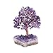 Jovivi Natural Amethyst Healing Crystal Money Tree on Amethyst Cluster Geode Druzy Base Feng Shui Crystals for Home Office Desk Decorations, Wealth, Good Luck