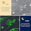 Glow in The Dark Blanket Dinosaur Throw Blanket for Boys Kids Soft Warm Cozy Cute Dino Blanket Unique Dinosaurs Toys Gifts Gray Glowing Dinosaur Room Decor Blankets for Girls Teens 50"x60" #4